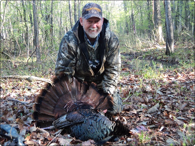 Turkey Hunting Paintings